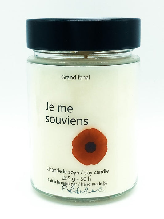 Le devoir de mémoire