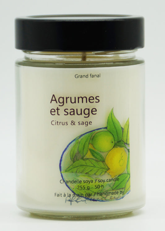 Agrumes et sauge