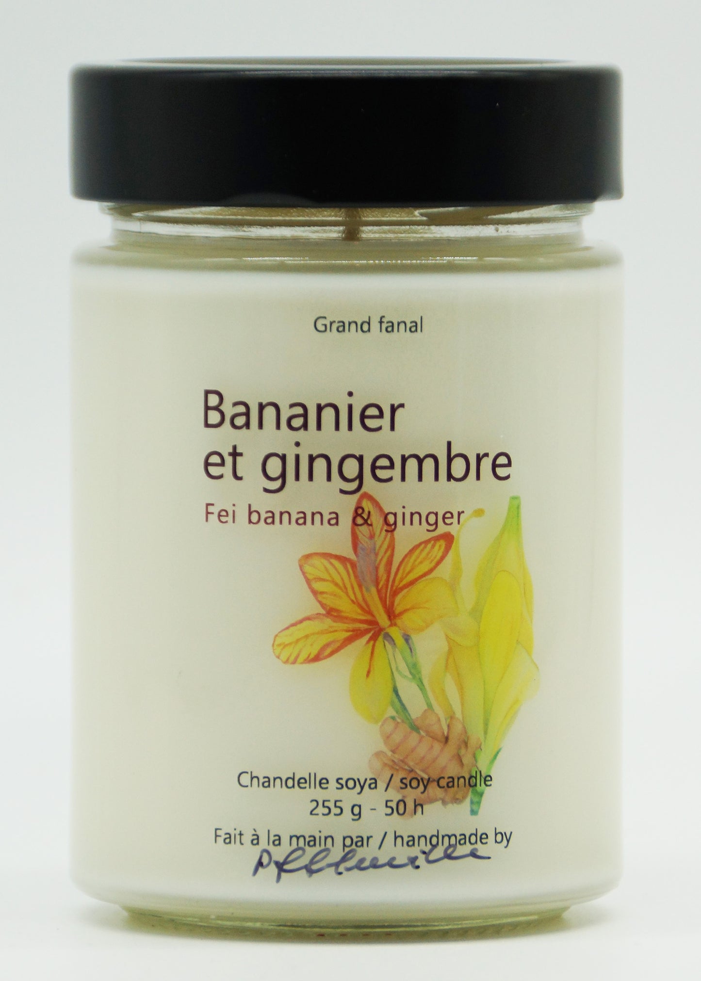 Bananier et gingembre