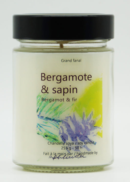 Bergamote et sapin