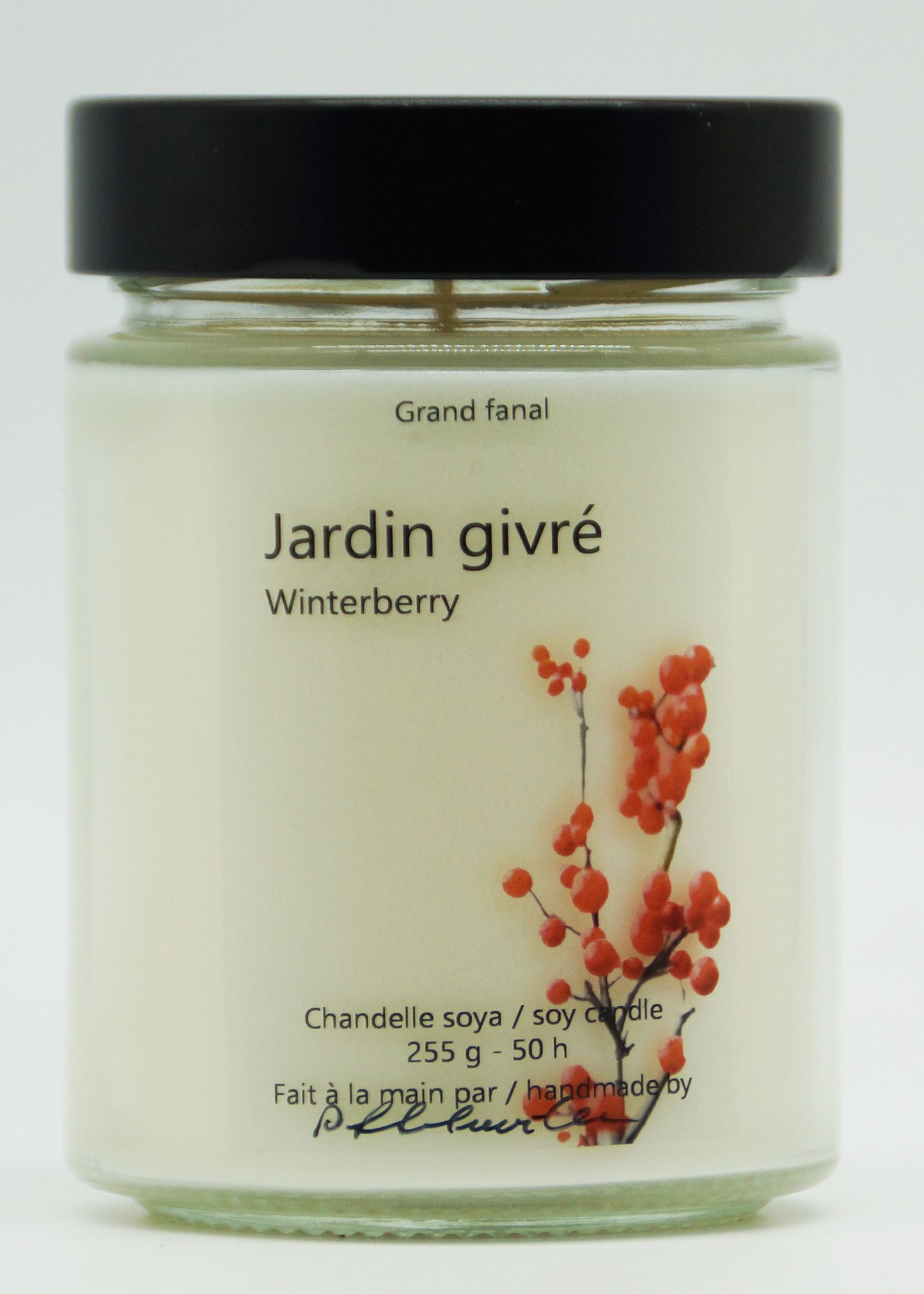 Jardin givré