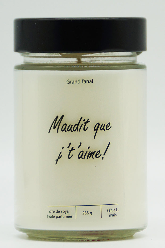 Maudit que j't'aime!