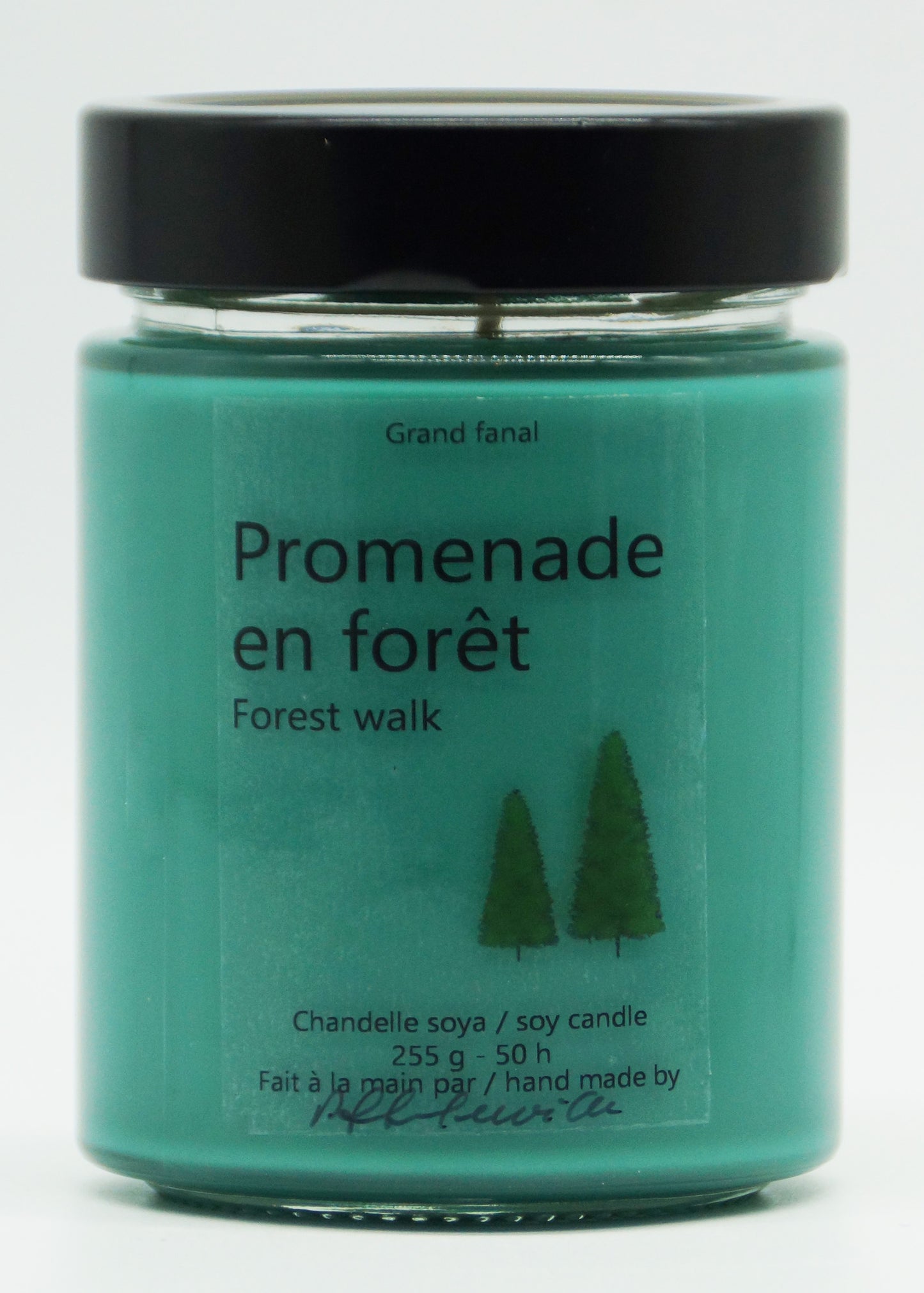 Promenade en forêt