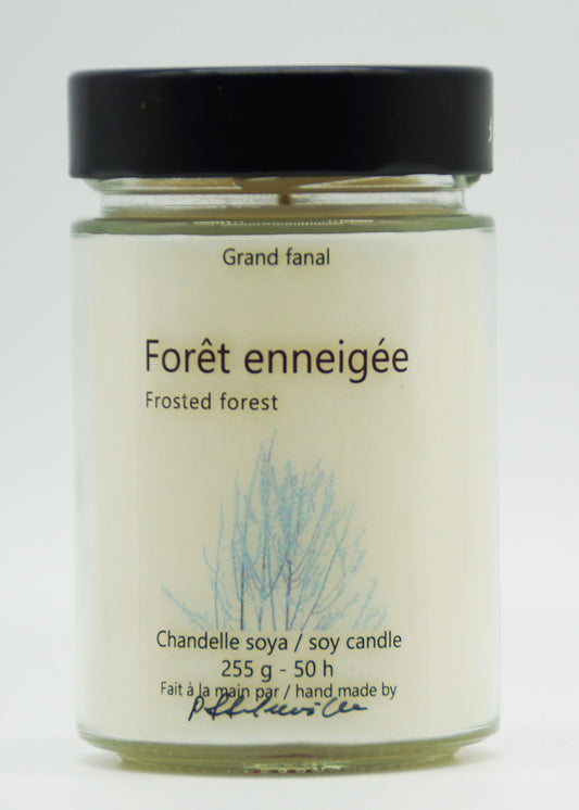 Forêt enneigée