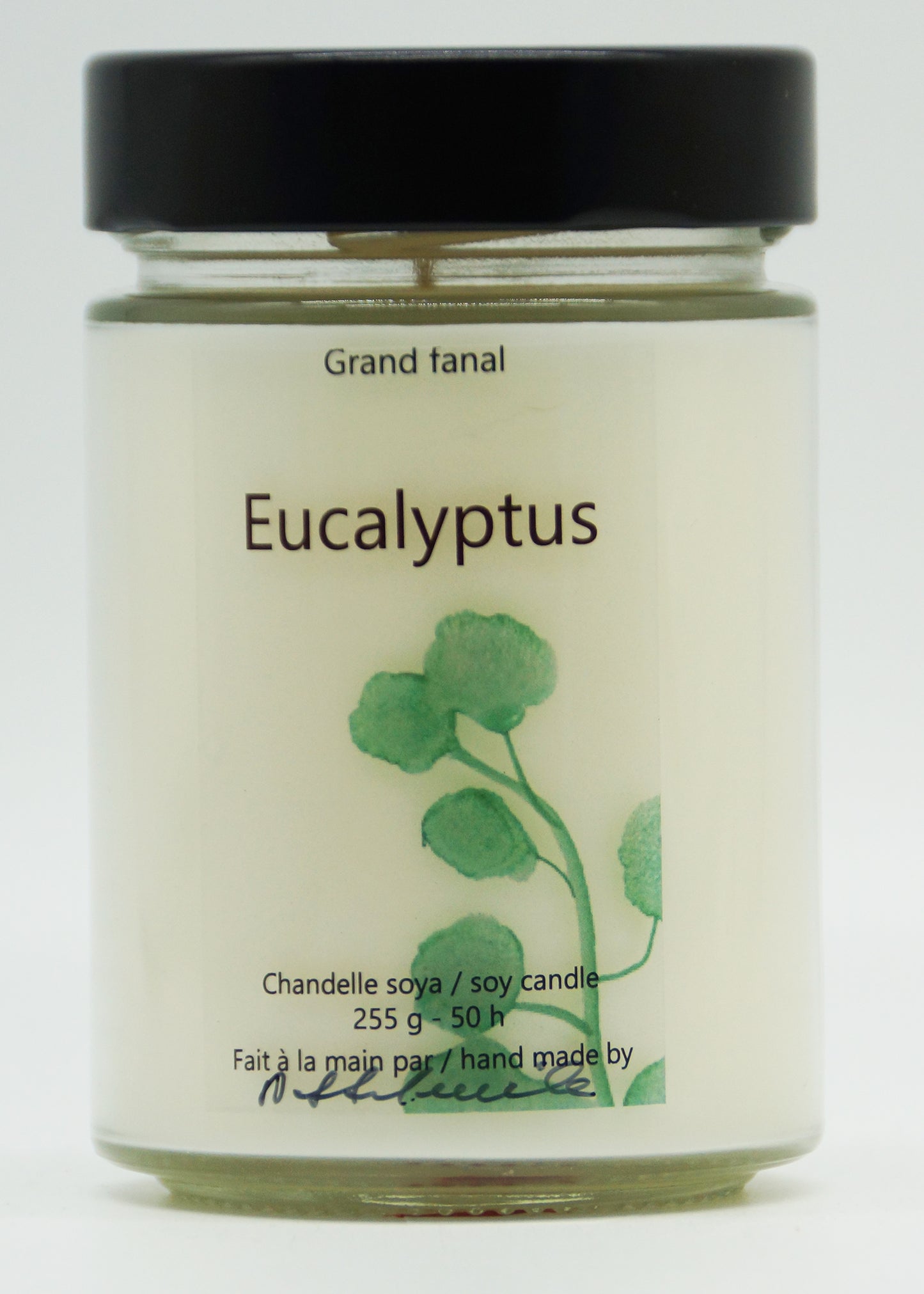 Eucalyptus