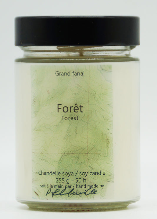Forêt