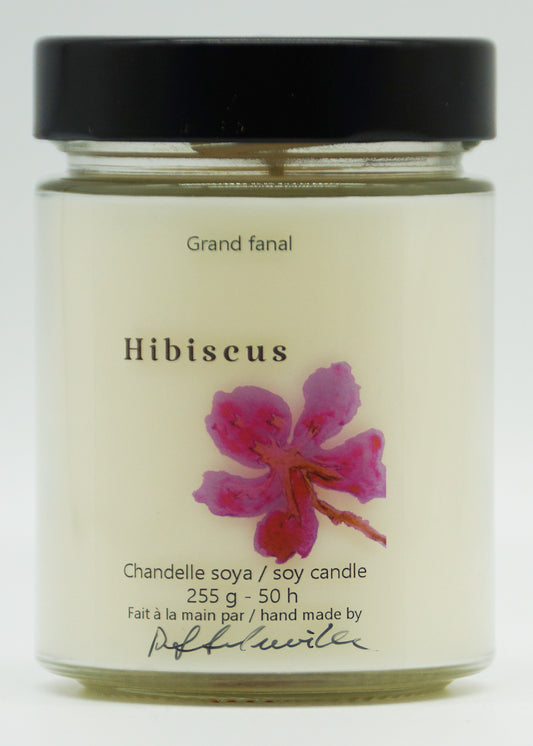 Hibiscus