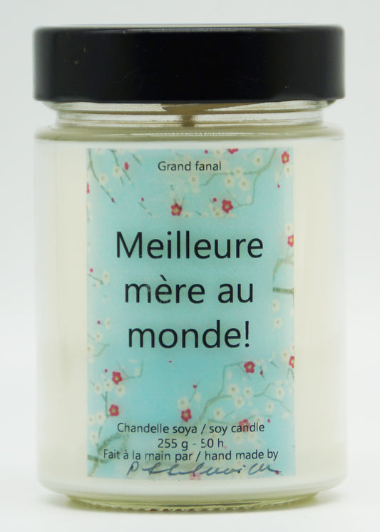 Meilleure mère au monde!