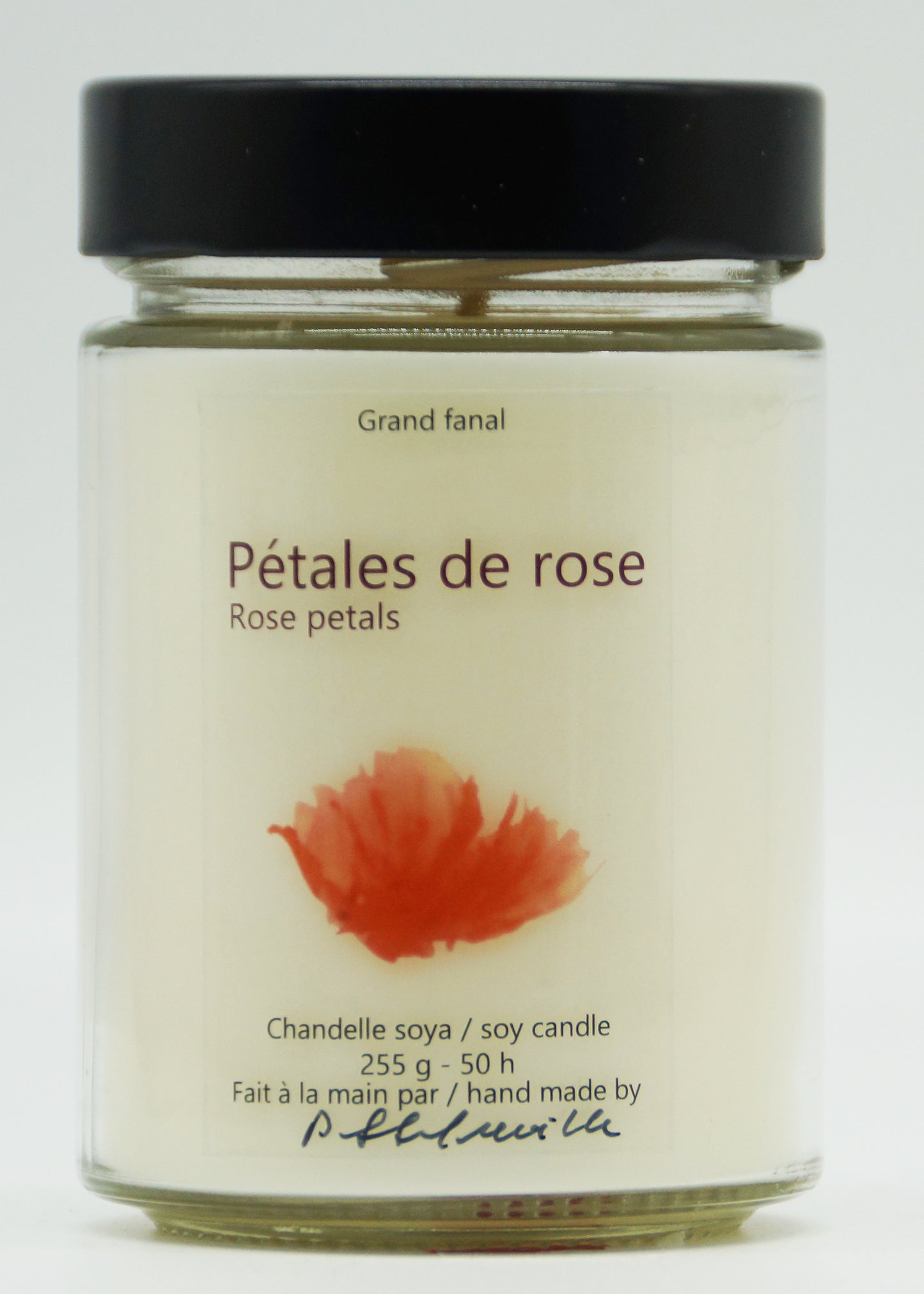 Pétales de rose