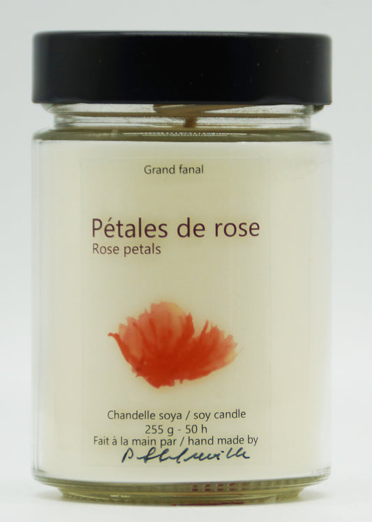 Pétales de rose