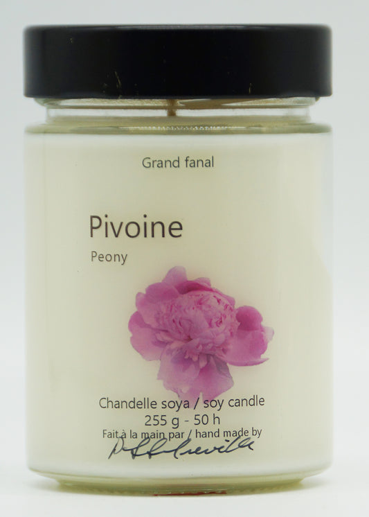 Pivoine