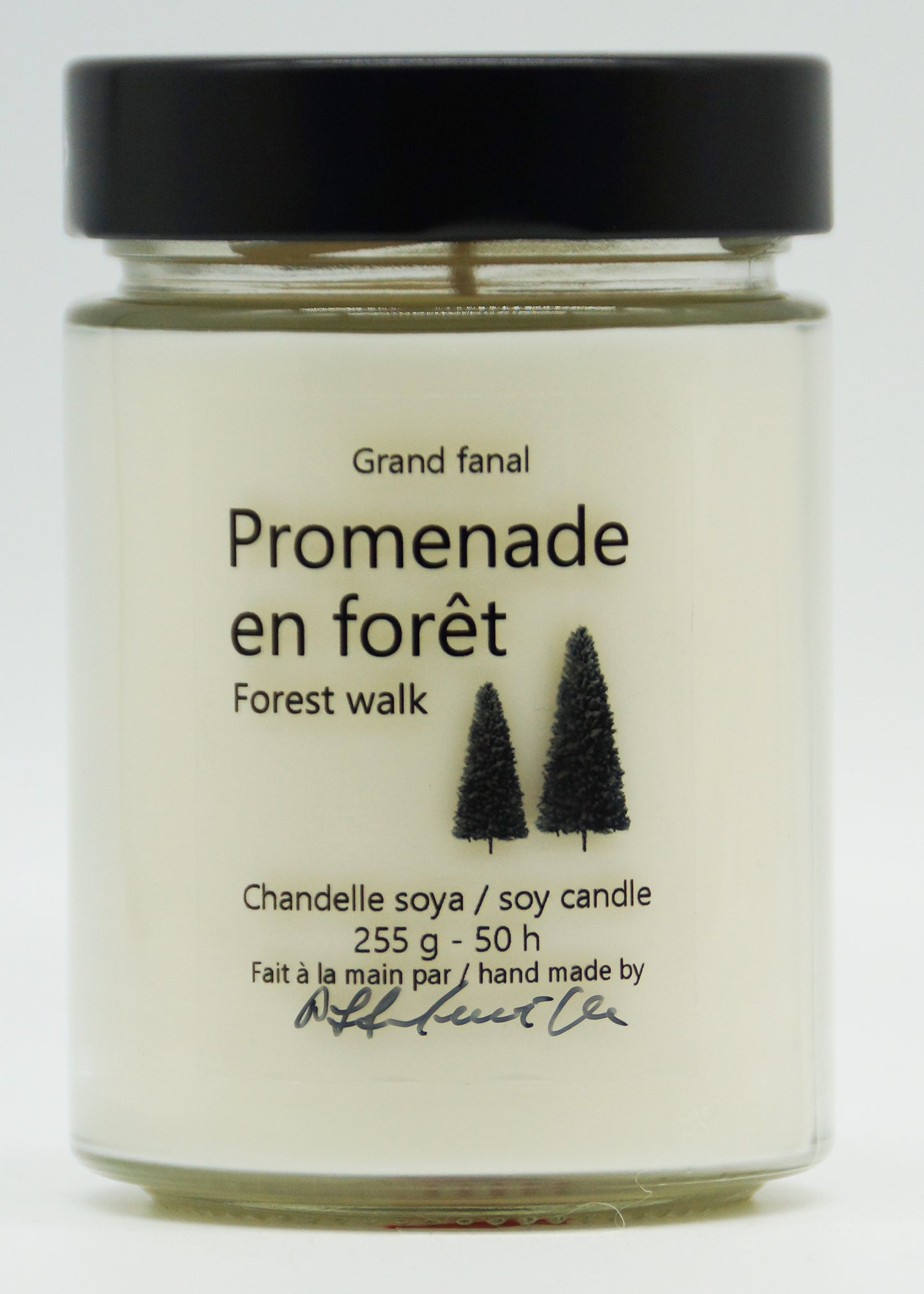Promenade en forêt