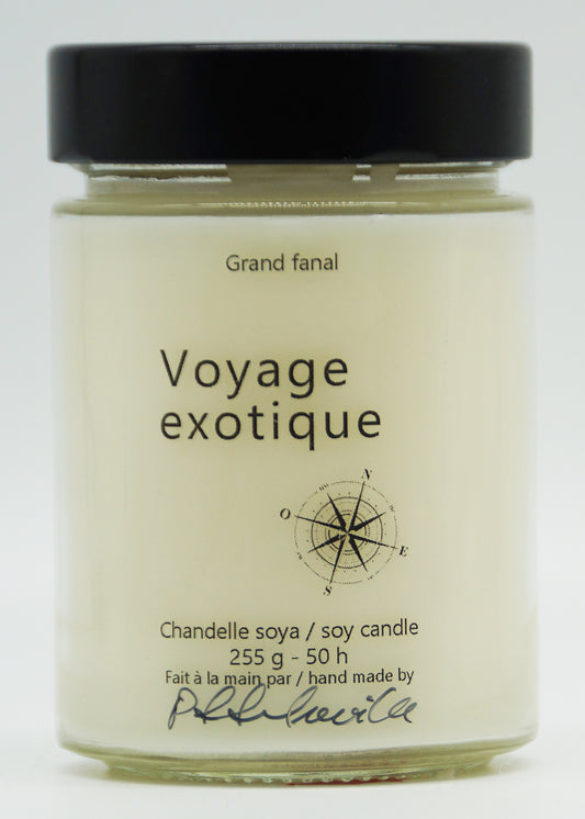 Voyage exotique