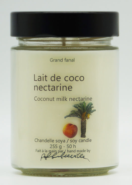 Lait de coco et nectarine